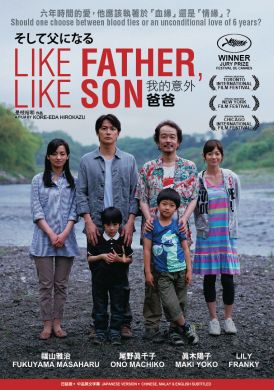 Like Father, Like Son 我的意外爸爸 (DVD)