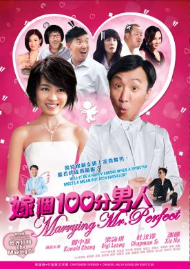 嫁個一百分男人 MARRYING MR. PERFECT (DVD)